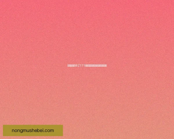 中国解放军WZ111战斗机的发展历程与未来潜力分析