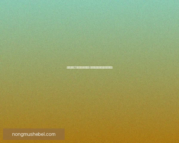 仙剑奇侠传2详细攻略秘籍全解析 完美通关技巧与隐藏要素一网打尽