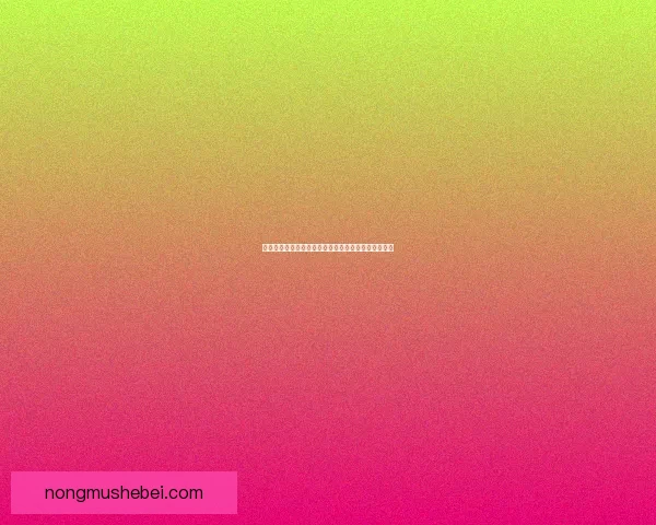 五等分的花嫁剧场版：五姐妹的终极约定与未来的绽放