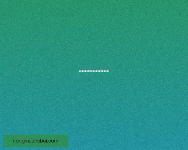 倩女幽魂轩辕风与神秘妖界的奇幻之旅探秘