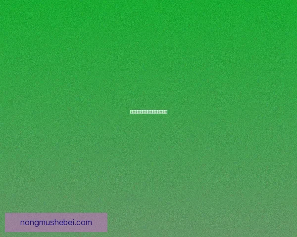 奥妮克希亚之巢：巨龙翱翔的领地