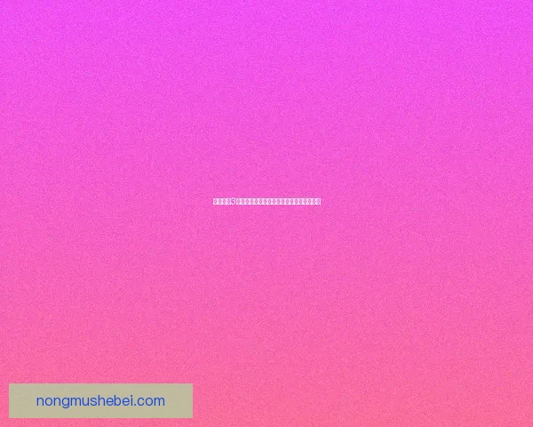 富甲天下3全方位攻略技巧详解助你轻松成为富豪大亨