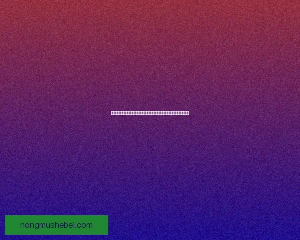 戴斯班克攻略全面解析助你快速掌握游戏技巧与策略优化提升游戏体验