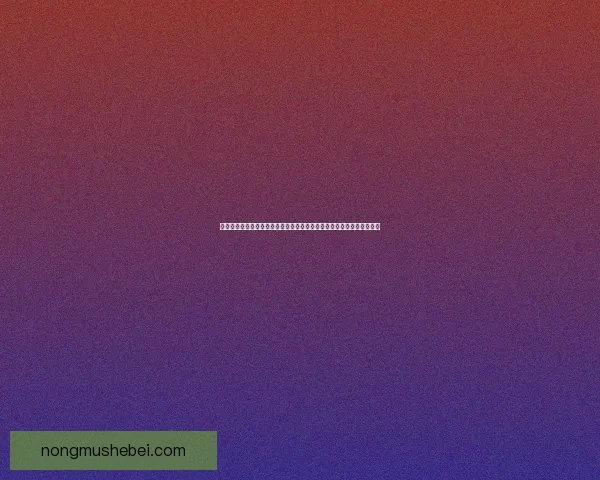 搜奇平台创新升级引领电商变革全新购物体验与智能推荐技术的完美结合