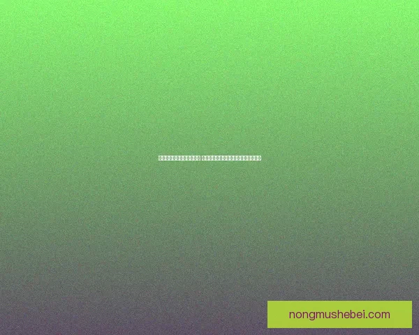 梦幻西游手游房子离婚攻略 如何处理夫妻间的财产与房产分割问题