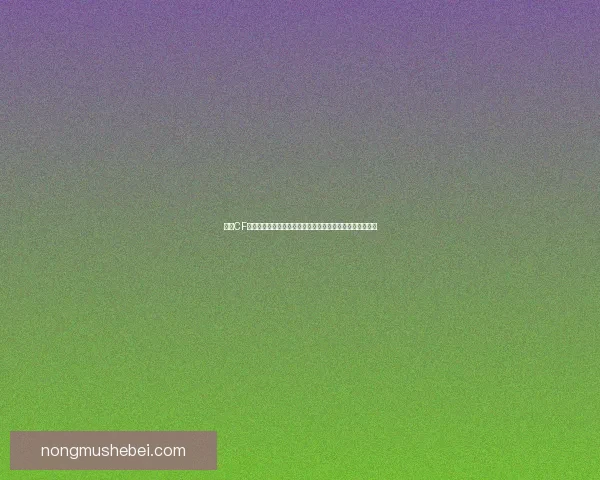 畅享CF精彩活动抽奖，丰厚奖励等你来赢，轻松参与开启幸运之门