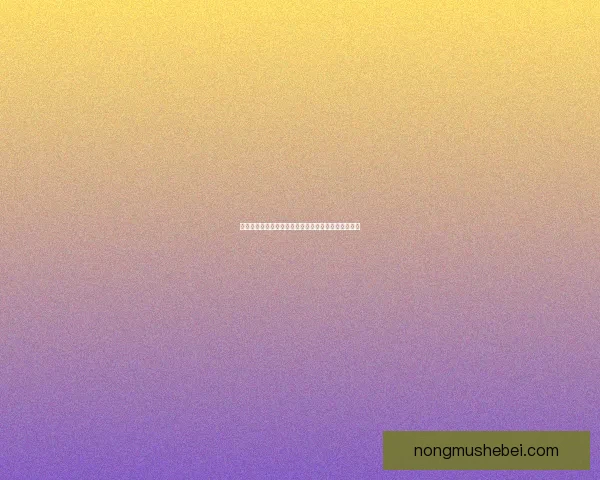 王者荣耀马可波罗最佳出装推荐全面解析助你轻松上分