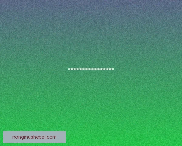 神之苏醒秘籍揭秘如何通过古老仪式唤醒沉睡的神灵力量与宿命之链