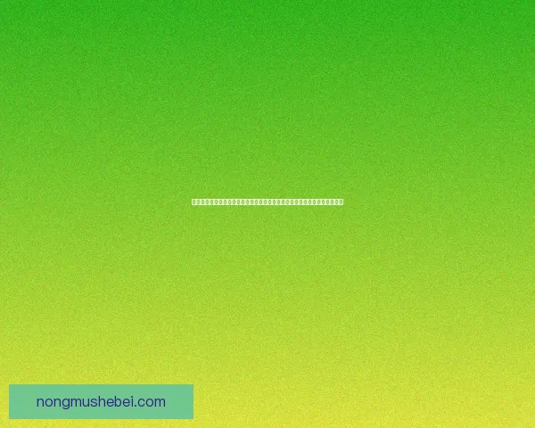 神秘魔法商店探秘：进入异世界的奇幻购物之旅，开启不可思议的冒险与发现