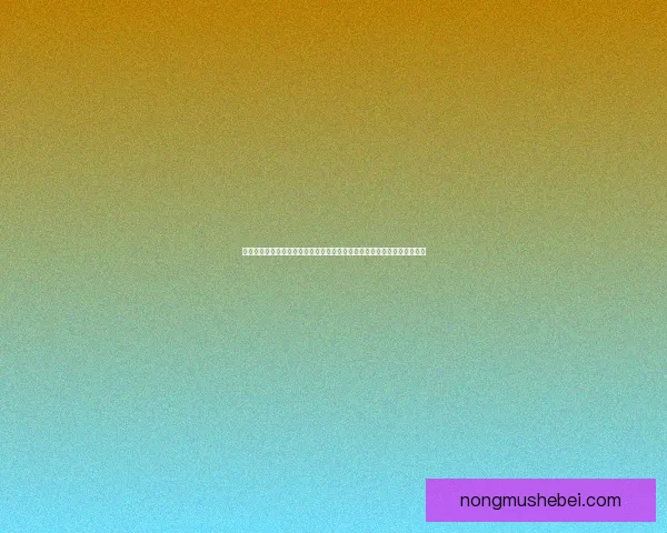 航海王启航全新冒险之旅开启，重返大海与伙伴们共同追逐梦想的传奇征程