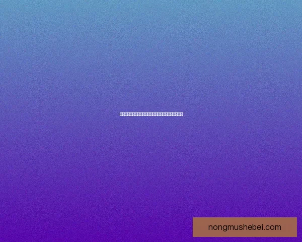 轩辕传奇法师职业全面解析技巧装备培养与战斗策略分享