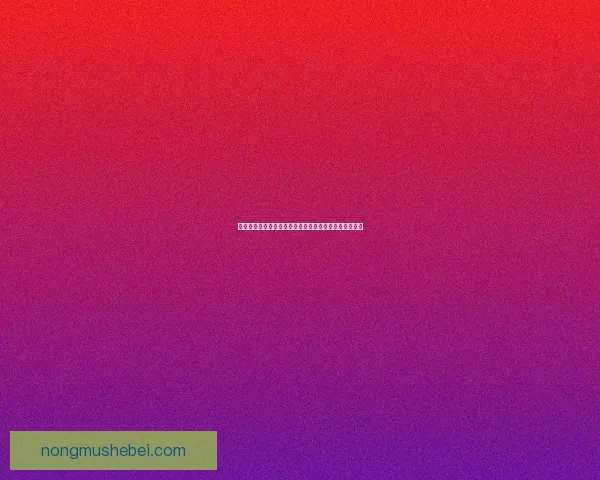 赵云传云汉腾龙再现英雄本色勇闯千里铁血江山壮丽篇章 赵云传云汉腾龙再现英雄本色勇闯千里铁血江山壮丽篇章