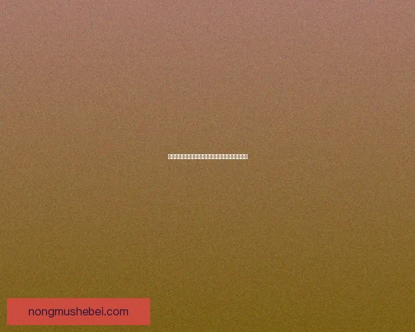 迷失蔚蓝：探索未知海域的深度冒险与心灵救赎之旅