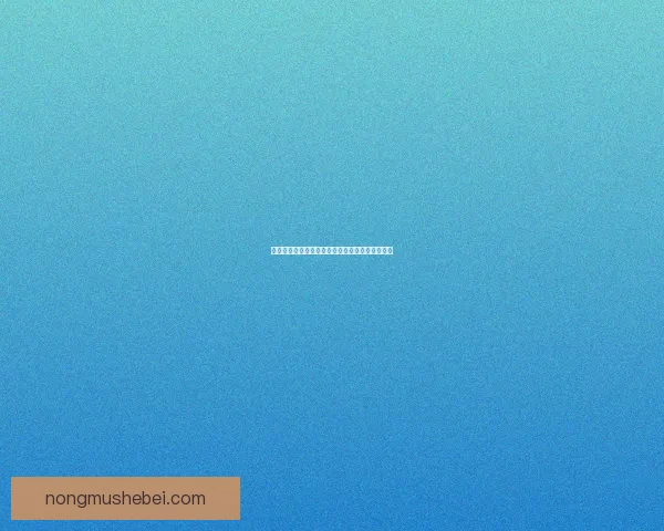 阿卡丽神秘商店揭秘进入方式与隐藏道具全面解析