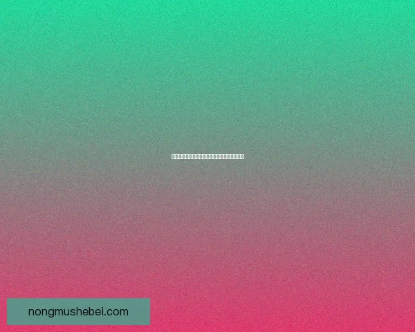 魔兽世界中最稀有的工程图纸及其获取方法详解