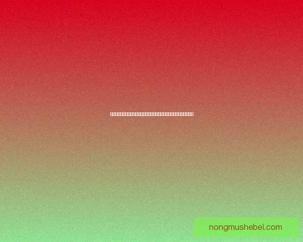 以冲角团印章为核心解读其历史文化内涵及其在传统印章艺术中的独特地位