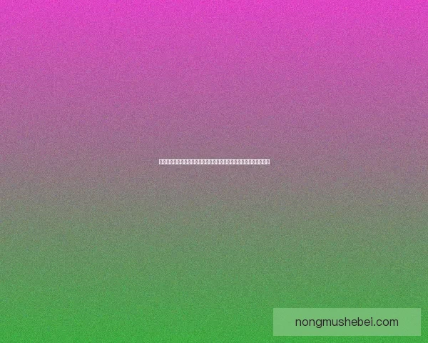 仙乐传说游戏下载大全畅享仙境世界神秘冒险之旅免费下载及安装指南