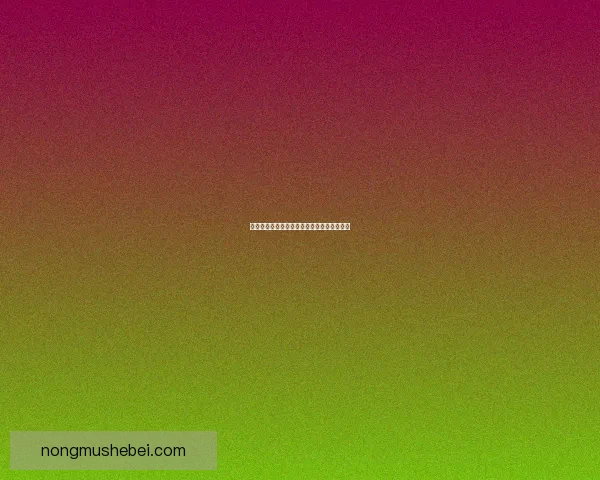 剑网三素冠荷鼎绝世风华探秘与剧情深度解析 剑网三素冠荷鼎绝世风华探秘与剧情深度解析