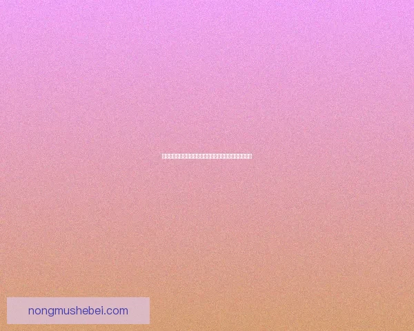 国服第一召唤师挑战极限战力巅峰引领新一代召唤流派革命