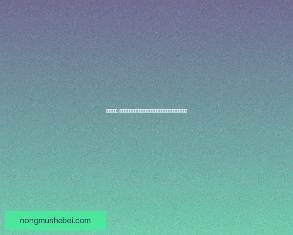 地下城堡2任务攻略与心得分享深入解析游戏中各大任务的完成方法与技巧