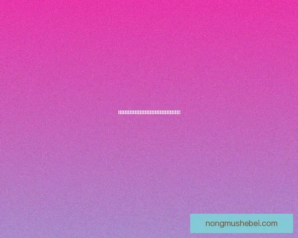 大明龙权：揭秘明朝权力斗争背后的政治博弈与历史遗产